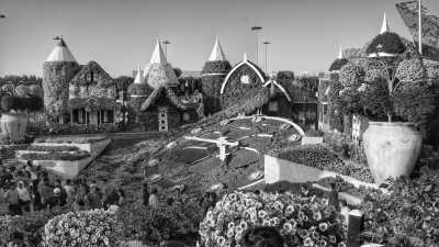 United Arab Emirates - Dubai Miracle Garden - Dubai Diaries: Discovering the City of Gold - 1