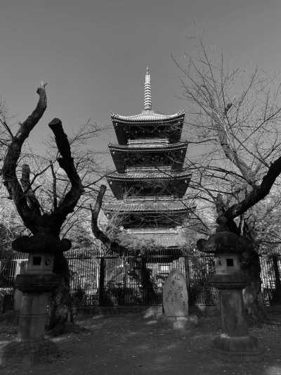 Japan - Tokyo - 3 SPOTS LEFT!!! LIVE THE MYSTIC SPRING FESTIVAL IN THE JAPANESE ALPS and experience singular local activities with a Trip Coordinator with experience in the Country! Tokyo, Takayama, Osaka, Kyoto, Mount Fuji & TONS OF INCLUDED EXPERIENCES! Local cuisine, traditions, nature and city life all-in-one - 5