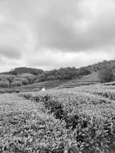 Portugal - Discover a Hidden Gem: Sao Miguel, The Azores - JoinMyTrip