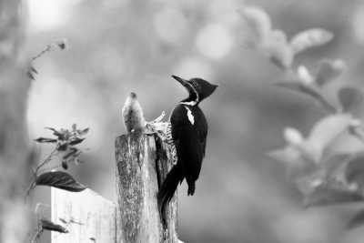 Kolumbien - San Francisco - Experience Glamping, Hiking, Horse Riding, and Cultural Delights: Discover San Francisco-Cundinamarca and Bogotá, Colombia - 7