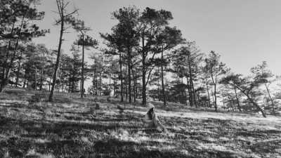 Vietnam - Dalat - All in one trip to Vietnam: Ho Chi Minh City and Da Lat - Nha Trang, Travel in a local way - 3