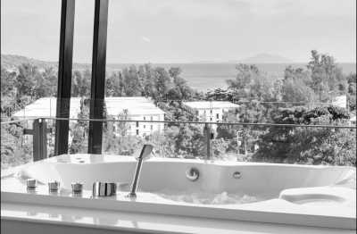 Thailand - Phuket - Swimming with Elephants and Snorkeling in Phuket, Thailand: Island Paradise, Majestic Elephants, Spectacular Snorkeling, and Local Cuisine - 1