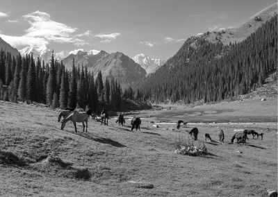 Kirgisistan - Natur pur im atemberaubenden Kirgistan - JoinMyTrip