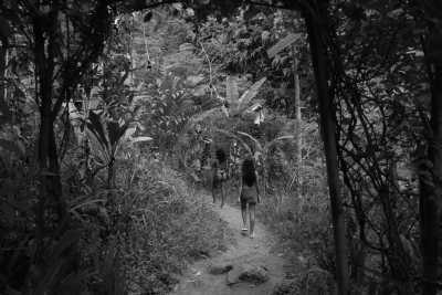 Indonesien - Ubud - Jungle Wellness Retreat Bali, Indonesia: Yoga, Waterfalls, Breathwork & MORE! - 2