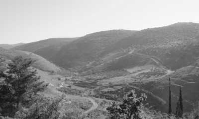 Jordan - Ajloun - From North to South! Join the Ultimate Experience Across Jordan 🇯🇴 - 2