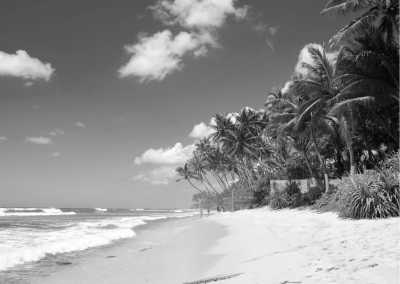 Sri Lanka - Galle - 8-Day Sri Lanka Itinerary: Explore, Indulge, and Immerse in Tropical Splendors - 2