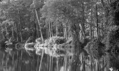 Costa Rica - Punta Leona - Majestic Adventures in Costa Rica: Beaches, Volcanoes, Hot Springs, Cloud Forest, and Pura Vida Lifestyle! - 13