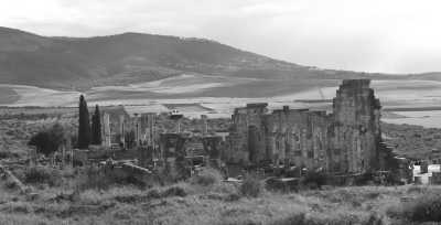 Morocco - Conservation du site Archéologique de volubilis - Marokko Rundreise - Entdecke die Königstädte und Wüste - 6