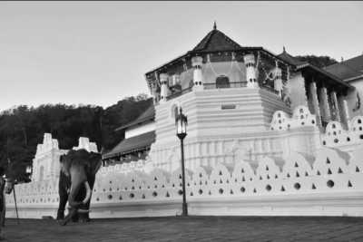 Sri Lanka - Kandy - Co-Working in Sri Lanka - Explore The Paradise lsland Beach, Party, Nature, Waterfall, Traditional Foods - 5