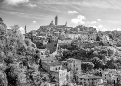 Italy - Siena - Explore Siena with a Sunset Dinner in Chianti Vineyards - La dolce vita!