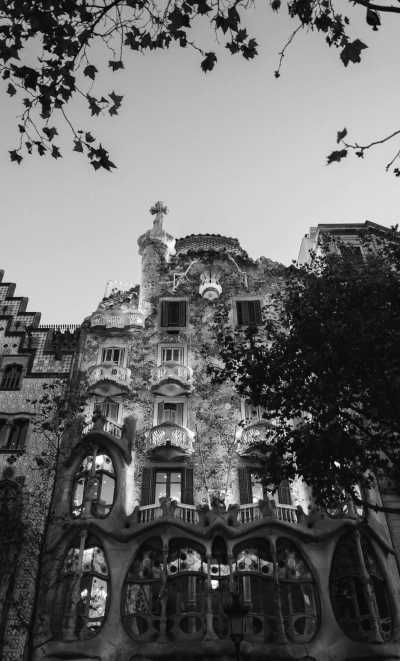 Spain - Casa Batlló - Barcelona Art Residency: Experience the City Through Art - 2