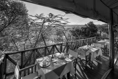 Kenia - Mara North Conservancy Airstrip - Kenya Adventure Safari + Beach Stay (private room fits 1 pax) - 4