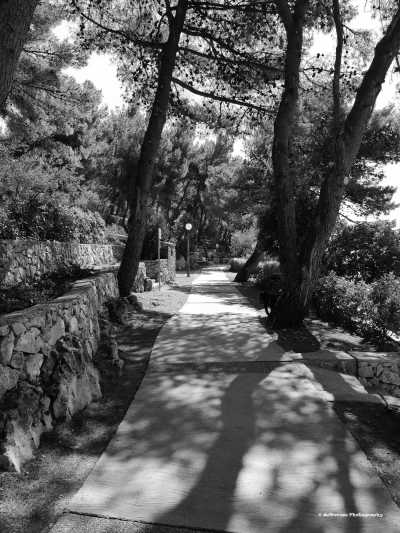 Croatia - Cres - Dare to be - DAS Retreat für Selbstbewusstsein und Präsenz. Für Frauen auf der Insel Cres in Kroatien - 2