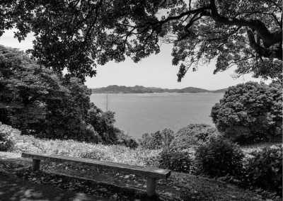 Japan - Nokonoshima Island Park - Experience Karatsu Kunchi Floats Festival and Autumn Cosmos Flowers Overlooking the Ocean in Japan - 1