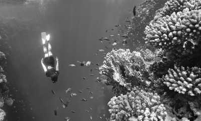 Ägypten - Three Pools Dive Site - Coastal Charms: A Weeklong Adventure in Dahab's Paradise - 4