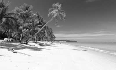 Brasilien - Ubatuba - 🇧🇷 Tomorrowland Brasil: Der perfekte Trip – Strände, Dschungel, Städte und das legendäre Festival! 🇧🇷 - 4