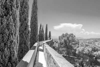 Spanien - Alegría Flamenco y Gastronomía - Dynamic Trip in sunny Málaga: Flamenco, Hiking, Spanish Tapas, Yoga and Bachata! 💃✨🌅 - 4