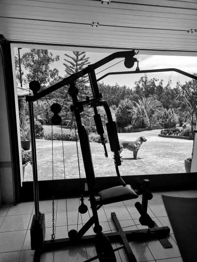 Portugal - Madeira Islands - Single Room: 2 Wochen CoLiving & CoWorking im Paradies Madeira: Workspace + Highspeed Internet - 13