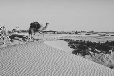Tunisia - Sahara desert Tunisia ღ - Tunisia Home Office 💻 Co-Working & Adventure - 3
