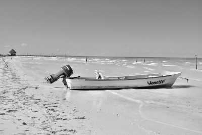 Mexiko - Holbox - Roadtrip Adventure in Mexico from Yucatan to HolBox for 8 Days - 3