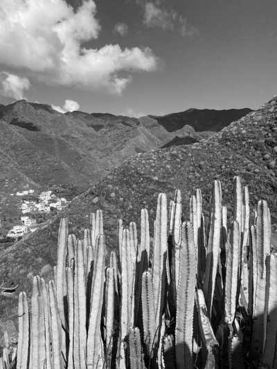 Spain - Igueste - Discover Tenerife 🌴 - hike to beautiful viewpoints, jump into natural volcanic pools relax at Black Sand Beaches and enjoy traditional cuisine 🥘 - 3