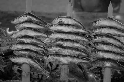 Spain - Pedregalejo - Emotional Wellness Retreat in Málaga, Spain: explore Málaga, Guided Emotional Release, Málaga's best food and views