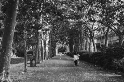 France - Toulouse - Coworking in the pink city of TOULOUSE, FRANCE 🇫🇷 live like a local and practice your French - shared double room with ensuite - 2