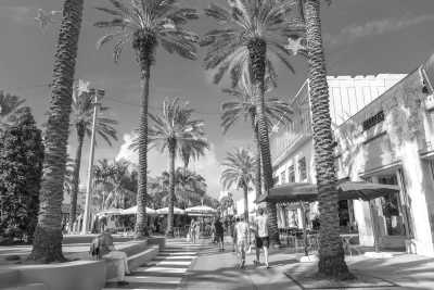 United States - South Beach - Surf, Street Art, wetlands forest & New Year's Eve in Miami - 2