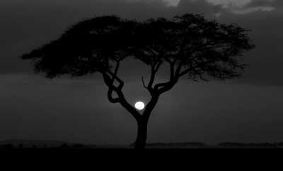 Eastern Africa - Nairobi - 🌍 KENYA & ZANZIBAR through Safari and Paradise beaches