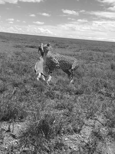 Tanzania - Lake Manyara National Park - Culture &Wildlife experience in Tanzania. - 2