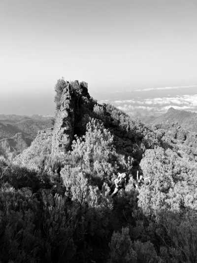 Portugal - Madeira Islands - CoLiving Madeira Santa Cruz, Portugal - Monthly Stays: Why work from home when you can work from paradise? - 5