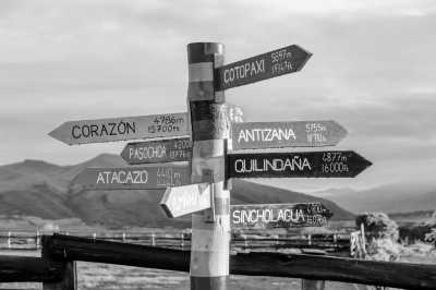 Ecuador - Quito - 🌿 Ecuador Expedition: Amazonian Selva & Galápagos Marvels 🌊 (Single Occupancy) - 2