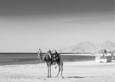 World - Taba - Relaxation and Adventure in Dahab, Egypt