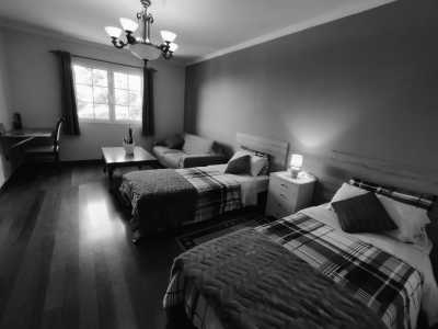 Portugal - Madeira Islands - Single Room: 2 Wochen CoLiving & CoWorking im Paradies Madeira: Workspace + Highspeed Internet - 17