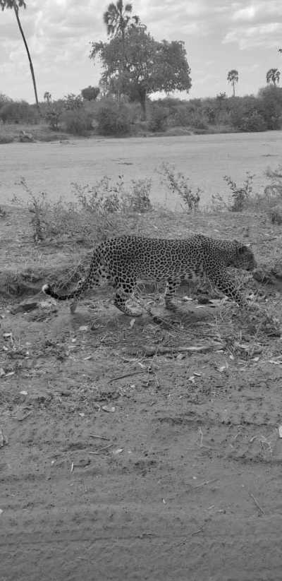 Tanzania - Kilimanjaro International Airport - Culture &Wildlife experience in Tanzania. - 2