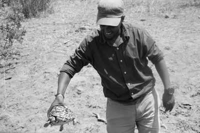 Tanzania - Arusha - 4 Day Tanzania Safari to Serengeti National Park and Ngorongoro Crater