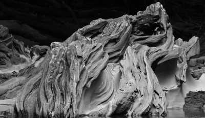 Colombia - Río Claro - Enjoy Medellin "City of Eternal Spring", Colombia ⛰️: Cool off in a clear river,  Immerse yourself in the Colorful Paisa Culture and Delight Yourself with the Best Coffee ☕ and a Crispy Chicharrón 🐽! - 5