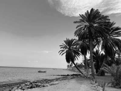 Ägypten - Sharm El Sheikh International Airport - Red Sea Reverie: Dahab Edition - 1
