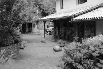 Portugal - Bio Quinta do Pântano Agro- Turismo - Madeira Let's Go! ✨ Hiking ⛰️ Yoga 🧘 Veggie Food 🥑 Beach 🏖️ and Sunrises/Sunsets 🌅 all in the beautiful Island of Madeira, Portugal - 4