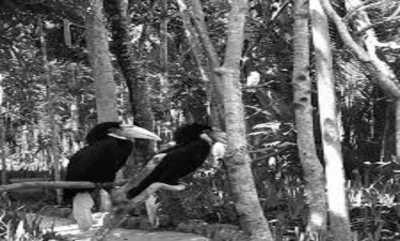 Indonesien - Lombok Wildlife Park - Backpacking Through Lombok Island in Indonesia - 5