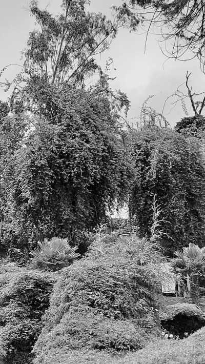 India - Kodaikanal - Ancient South India: Experience the Exotic Ancient Temples and Enticing Hills of Tamilnadu - 23