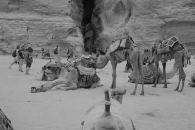 Jordanien - Wadi Musa - Wonderful Jordan - Exclusive Private Trip - 4