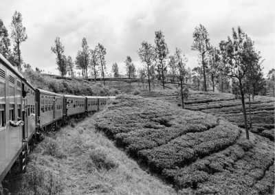 Sri Lanka - Bentota - Discovering the Pearl of the Indian Ocean: Sri Lanka! - 1