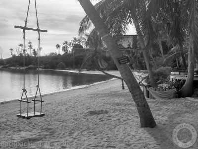 Thailand - Ko Pha Ngan - 🇹🇭 Entdecke Thailand's Unterwasserwelt - lerne Tauchen auf Koh Tao - inklusive Tauchschule / 6 Tauchgänge 🤿🌅🌴🍺 - 3