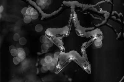 France - Couvent des Jacobins - TOULOUSE: Magical Christmas Time in France - Winter in Toulouse - 3