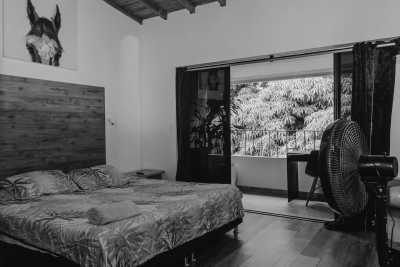 Colombia - Laureles - Coworking and Coliving: Work, Explore and Connect with Creatives in Medellin, Colombia. - 2