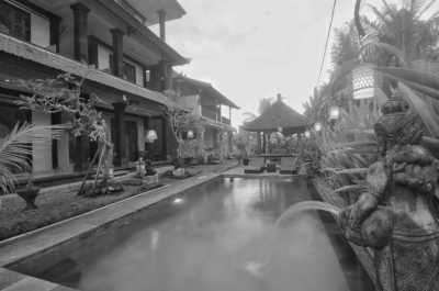 Indonesia - Ubud - Co-working in Bali: Ubud City Center, Snorkelling Experience, Gates of Heaven, Volcano Hike, Monkey Forest, Elephant Cave, Balinese Cooking Class and so Much More! - 2