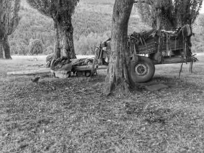 Argentina - El Hoyo - Majestic Horse Riding Adventure,"Eye To Eye with the Condor" - 3