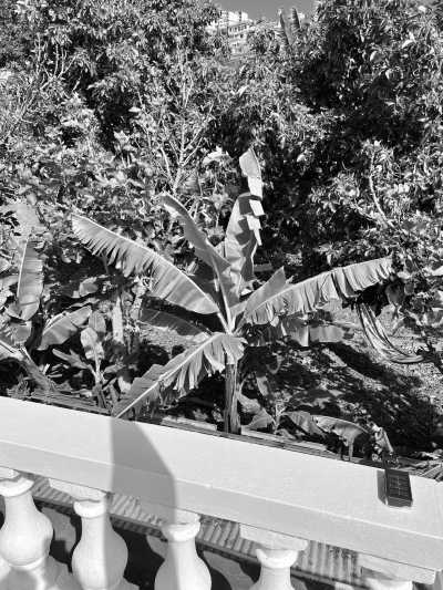 Portugal - Madeira Islands - CoLiving Madeira Santa Cruz, Portugal - Monthly Stays: Why work from home when you can work from paradise? - 2