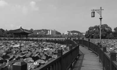 Korea, Süd - Jeonju-si - South Korea: 2 week adventure! 🏛️ Temple homestay with monks, DMZ/JSA, 🥾 Hike in National park, UNESCO cities with Temples, Shrines, Palaces,🎋Bamboo forests, 🍣 Eat ALL the local food! - 2